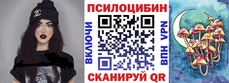 Псилоцибиновые грибы Psilocybe Колпашево