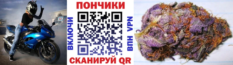 Бошки Шишки SATIVA & INDICA  Купить закладки  Колпашево 